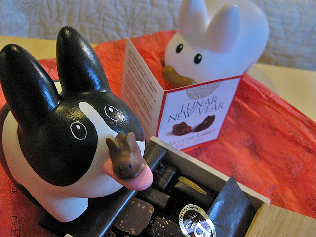 chocolate labbit